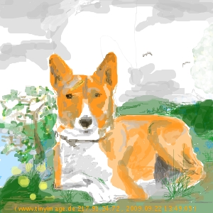 Tiere malen - Hund im Gras